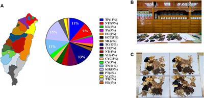 Ethnopharmacological Survey of Traditional Chinese Medicine Pharmacy Prescriptions for Dysmenorrhea